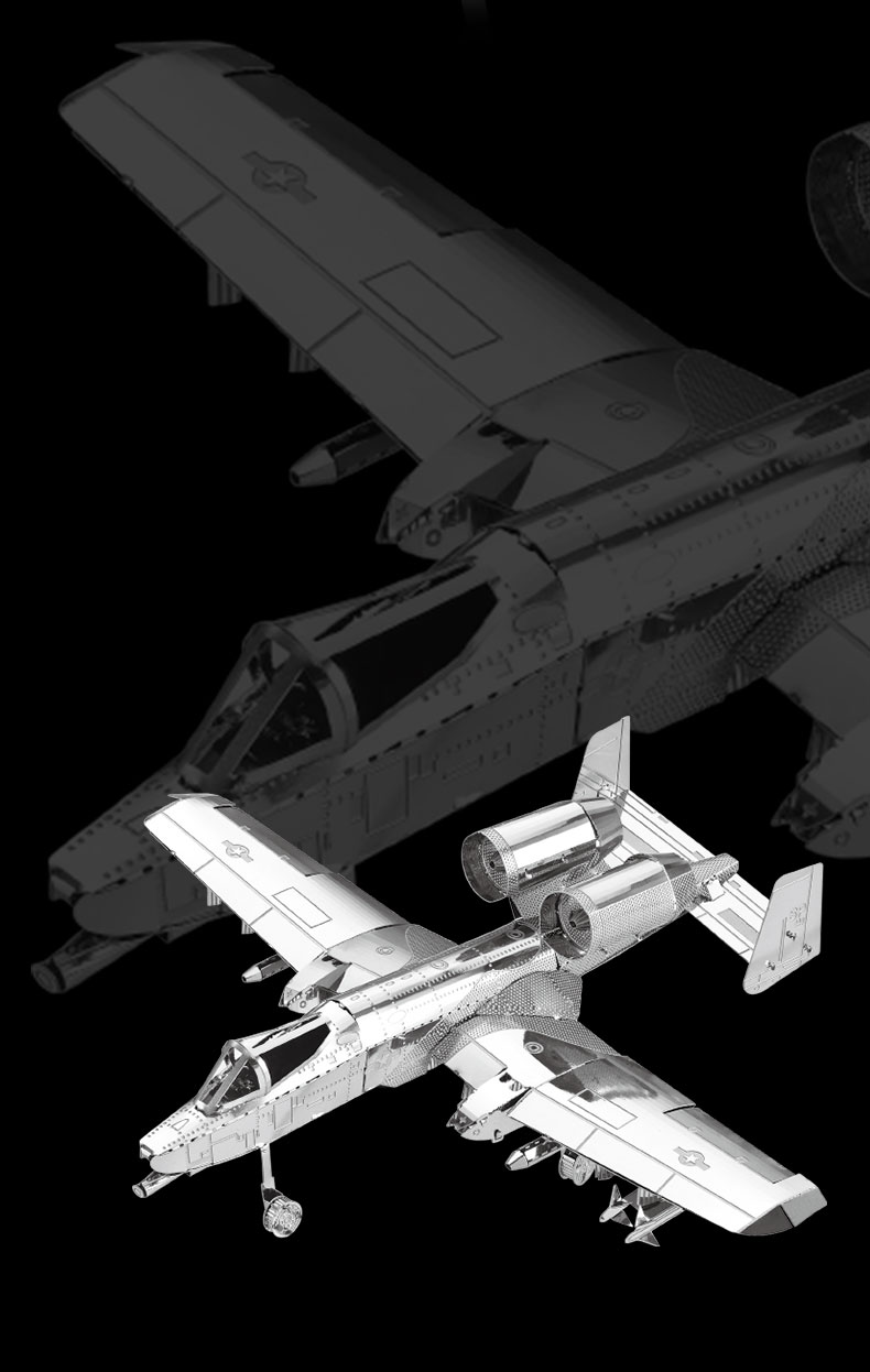 D21122 A-10攻击机(图6)